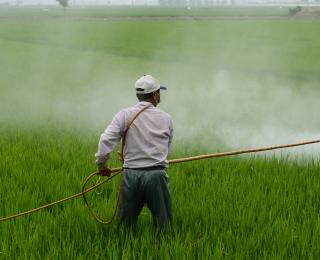 herbicide produits phytosanitaires