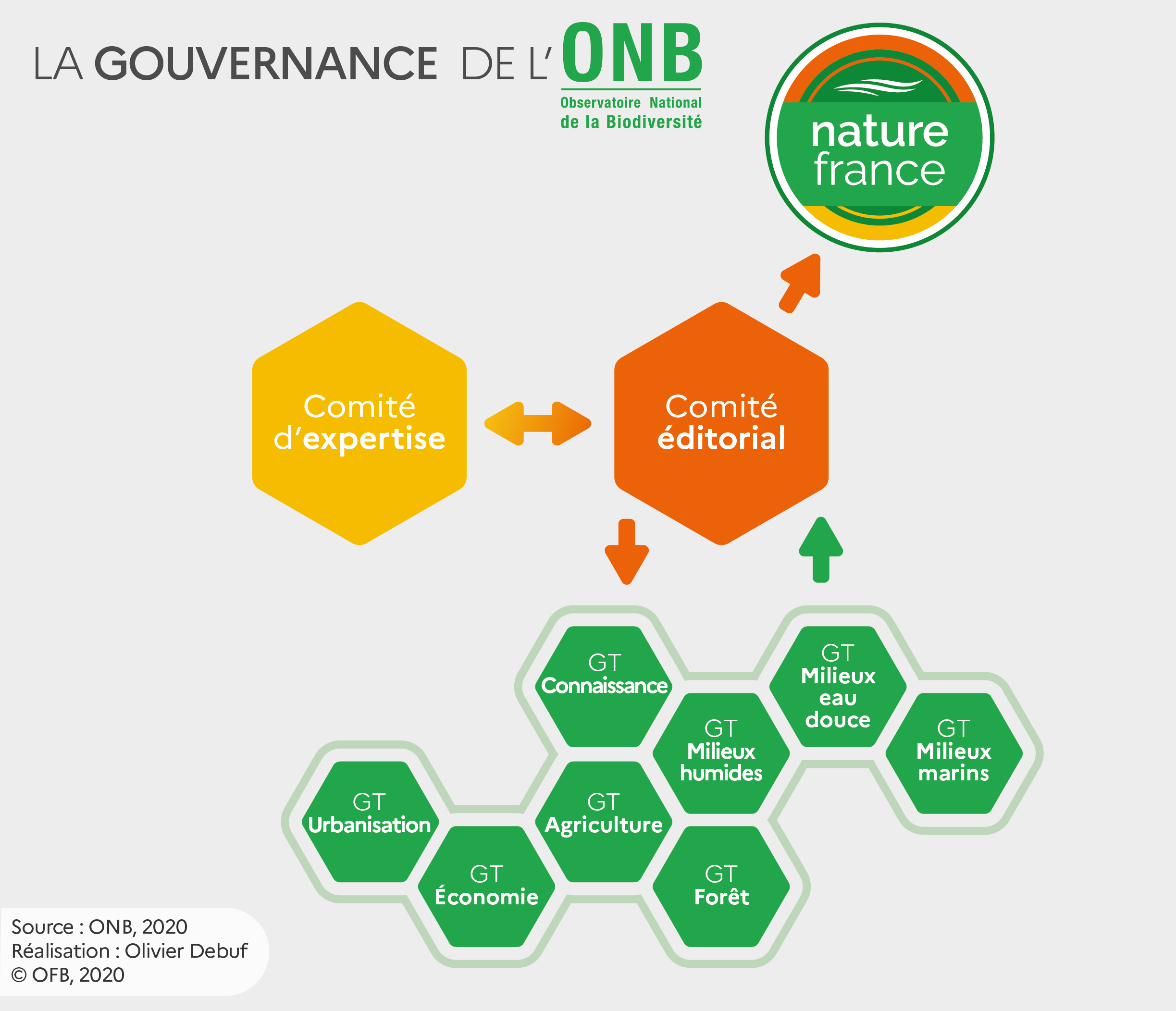 Représentation de la gouvernance de l'ONB 