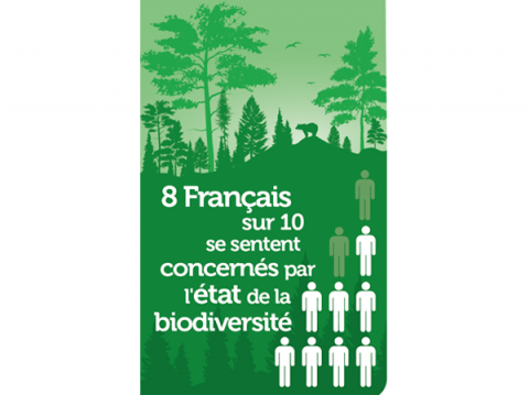 infographie français et biodiversité