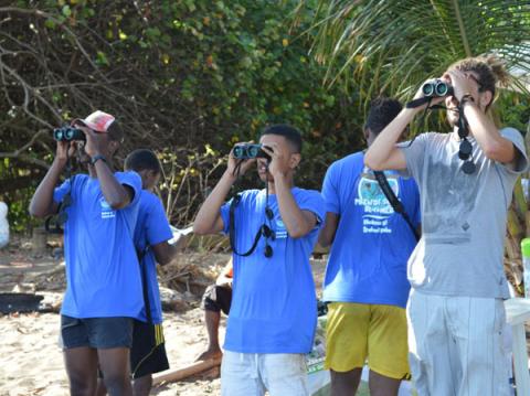Observation des oiseaux marins à Mayotte