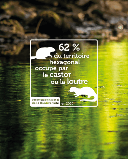 chiffres clés milieux humides castor/loutre