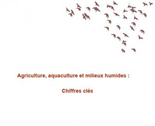 Agriculture, aquaculture et milieux humides : Chiffres clés