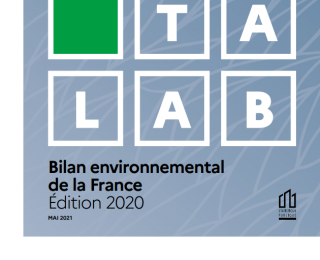 Datalab Bilan environnemental de la france 2020