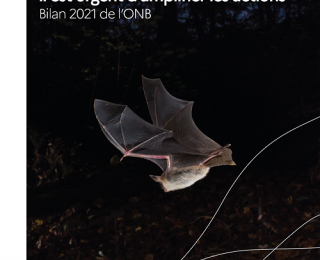 Couverture de la publication annuelle ONB 20201