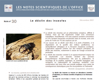 visuel_publication_OPECST_declin_insectes