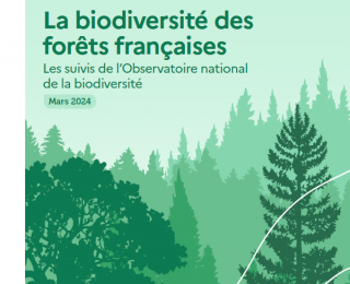 Couverture publication forêts