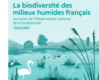 couverture publication milieux humides