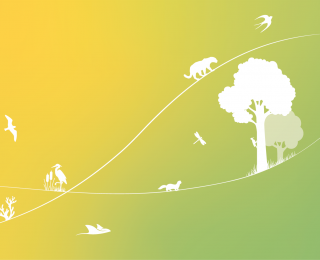 Découvrez les enjeux et les perspectives d'évolution de l'Observatoire national de la biodiversité