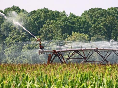 Irrigation d’un champs de maïs