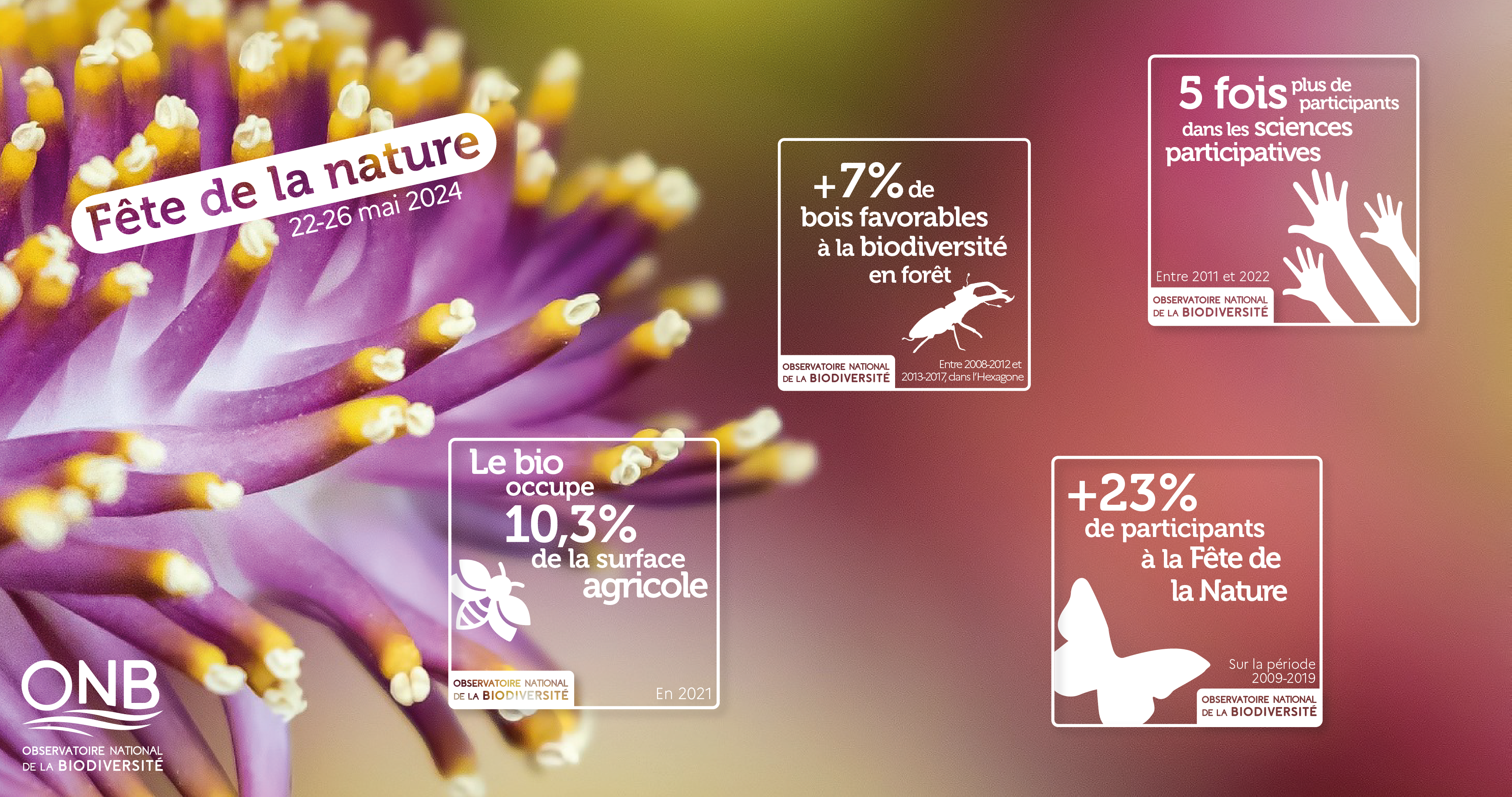 A l’occasion de la Fête de la nature du 22 au 26 mai, retrouvez et utilisez les indicateurs de l’ONB !