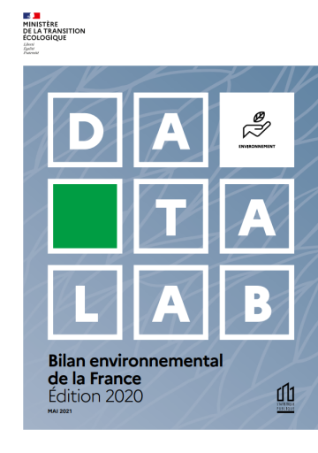 Datalab Bilan environnemental de la france 2020