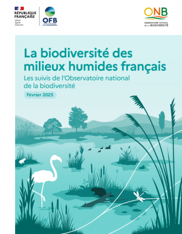 La biodiversité des milieux humides français : les suivis de l’Observatoire national de la biodiversité