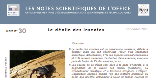 visuel_publication_OPECST_declin_insectes